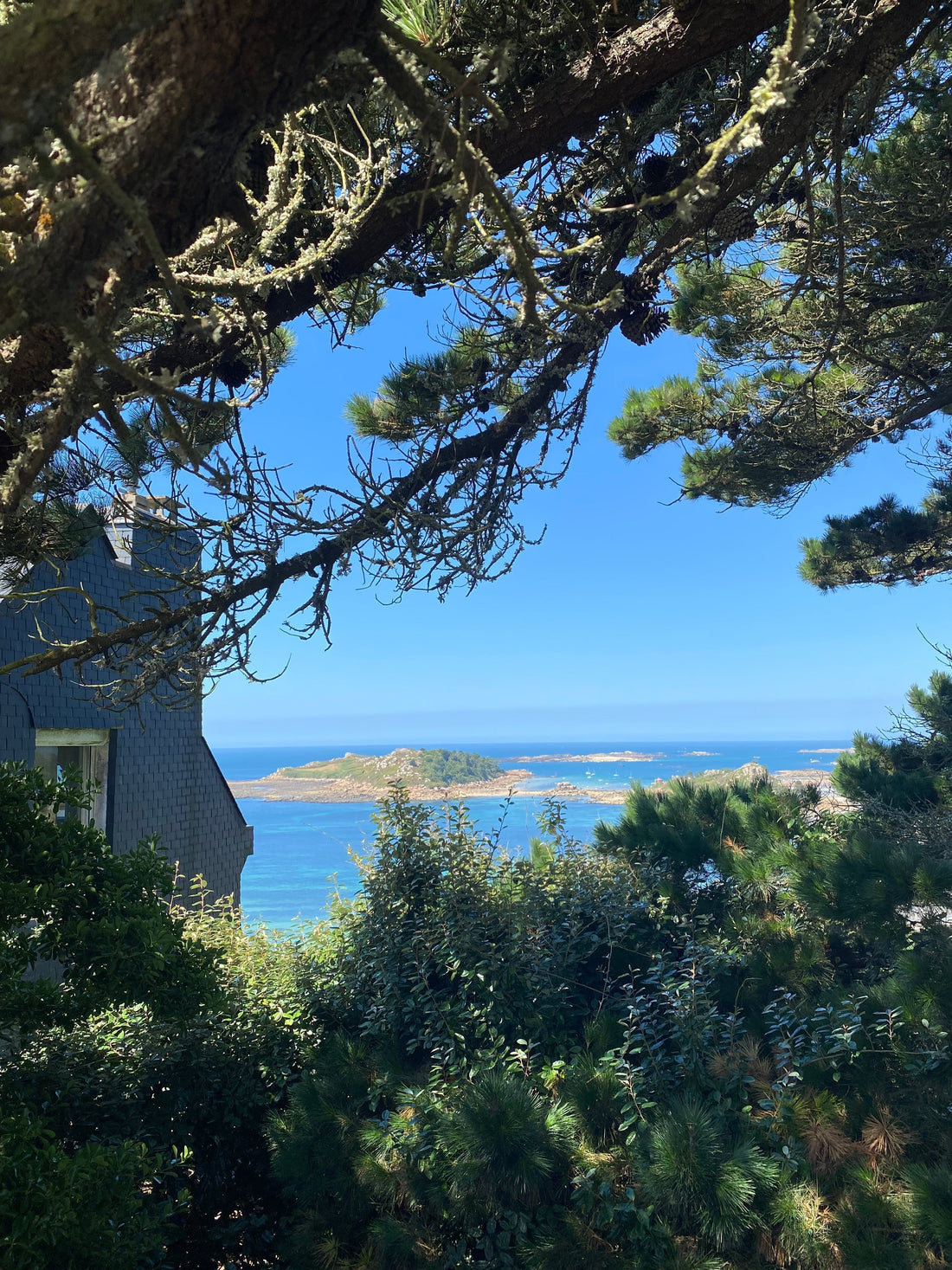 Se montrer, se raconter… un exercice pas si simple